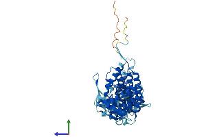 AlphaFold protein structure predicition of Human Recombinant CCT3 Protein, UniprotID P49368