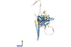 AlphaFold protein structure predicition of Mouse Recombinant Kif3c Protein, UniprotID O35066