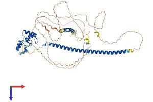 AlphaFold protein structure predicition of Human Recombinant RNF168 Protein, UniprotID Q8IYW5