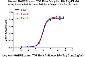 Immobilized Human GARP&Latent TGF Beta Complex at 5 μg/mL (100 μL/Well) on the plate.