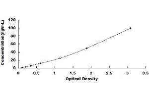 Typical standard curve