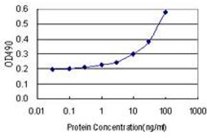 Sandwich ELISA detection sensitivity ranging from 3 ng/mL to 100 ng/mL. (SNAI1 (Humain) Matched Antibody Pair)