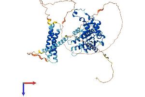 AlphaFold protein structure predicition of Mouse Recombinant Spast Protein, UniprotID Q9QYY8
