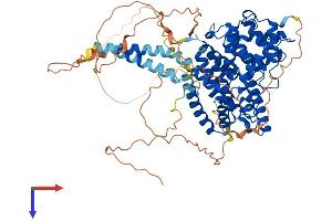 AlphaFold protein structure predicition of Mouse Recombinant Pde4c Protein, UniprotID Q3UEI1