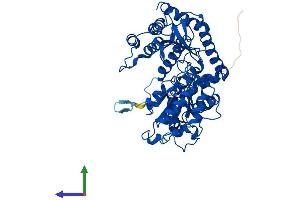 AlphaFold protein structure predicition of Human Recombinant GADL1 Protein, UniprotID Q6ZQY3