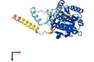 AlphaFold protein structure predicition of Mouse Recombinant Rdh14 Protein, UniprotID Q9ERI6