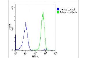 Overlay histogram showing U-2 OS cells stained with (ABIN6243670 and ABIN6578877)(green line). (Grancalcin anticorps  (AA 19-53))
