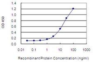 Detection limit for recombinant GST tagged NUCKS1 is 0.