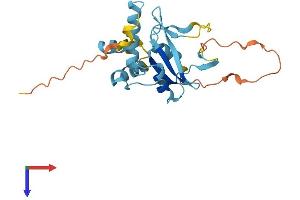 AlphaFold protein structure predicition of Mouse Recombinant Socs3 Protein, UniprotID O35718