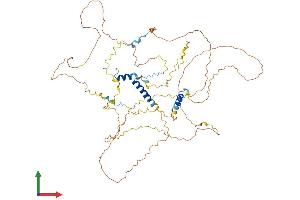 AlphaFold protein structure predicition of Human Recombinant SARG Protein, UniprotID Q9BW04