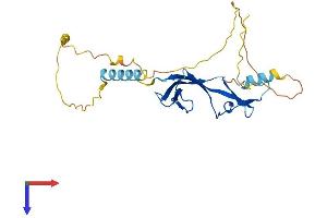 AlphaFold protein structure predicition of Mouse Recombinant Eaf1 Protein, UniprotID Q9D4C5