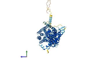AlphaFold protein structure predicition of Mouse Recombinant Clcnka Protein, UniprotID Q9WUB7