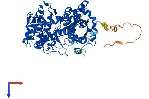 AlphaFold protein structure predicition of Mouse Recombinant Grk6 Protein, UniprotID O70293