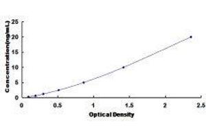 ELISA image for Growth Hormone Receptor (GHR) ELISA Kit (ABIN424574)