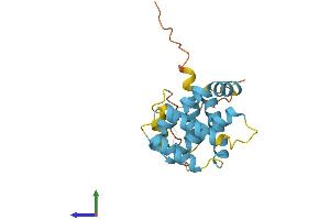 AlphaFold protein structure predicition of Mouse Recombinant Bid Protein, UniprotID P70444