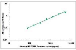 Representative Standard Curve (Notch1 Kit ELISA)