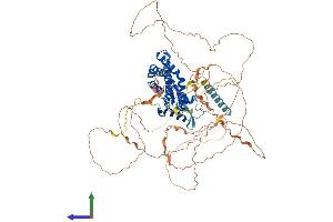 AlphaFold protein structure predicition of Human Recombinant ZDHHC8 Protein, UniprotID Q9ULC8