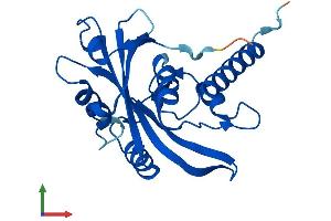 AlphaFold protein structure predicition of Mouse Recombinant Nudt16l1 Protein, UniprotID Q8VHN8