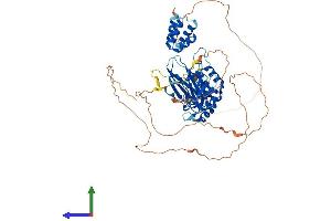 AlphaFold protein structure predicition of Mouse Recombinant Pias2 Protein, UniprotID Q8C5D8