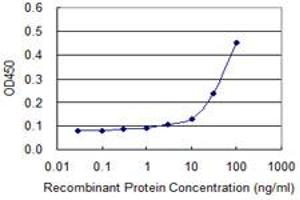 Detection limit for recombinant GST tagged PURA is approximately 10ng/ml as a capture antibody. (PURA anticorps  (AA 183-292))