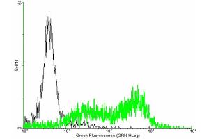 FACS analysis of negative control 293 cells (Black) and HFE expressing 293 cells (Green) using HFE purified MaxPab mouse polyclonal antibody. (HFE anticorps  (AA 1-348))