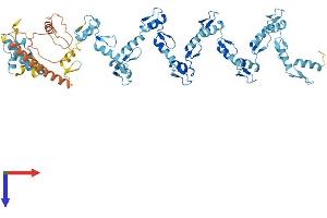 AlphaFold protein structure predicition of Human Recombinant ZNF93 Protein, UniprotID P35789