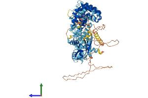 AlphaFold protein structure predicition of Mouse Recombinant Veph1 Protein, UniprotID A1A535