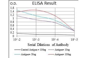 Black line: Control Antigen (100 ng), Purple line: Antigen(10 ng), Blue line: Antigen (50 ng), Red line: Antigen (100 ng),