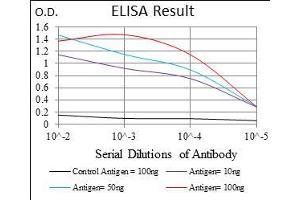 Black line: Control Antigen (100 ng), Purple line: Antigen(10 ng), Blue line: Antigen (50 ng), Red line: Antigen (100 ng), (CD74 anticorps  (AA 1-106))