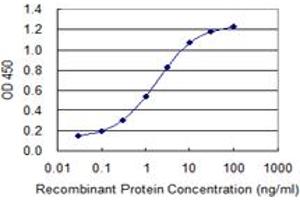 anti-Contactin 4 (CNTN4) (AA 800-898) antibody