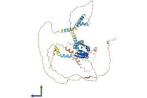 AlphaFold protein structure predicition of Mouse Recombinant Ncoa5 Protein, UniprotID Q91W39