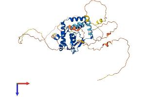 AlphaFold protein structure predicition of Mouse Recombinant Nfic Protein, UniprotID P70255