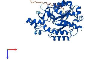 AlphaFold protein structure predicition of Human Recombinant PLCXD1 Protein, UniprotID Q9NUJ7