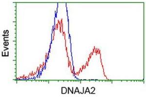 HEK293T cells transfected with either RC202204 overexpress plasmid (Red) or empty vector control plasmid (Blue) were immunostained by anti-DNAJA2 antibody (ABIN2452950), and then analyzed by flow cytometry. (DNAJA2 anticorps)