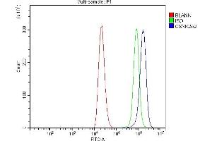 Flow Cytometry analysis of THP-1 cells using anti-CSNK2A2 antibody (ABIN7602871).