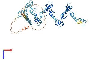 AlphaFold protein structure predicition of Human Recombinant ZNF331 Protein, UniprotID Q9NQX6