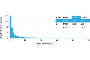 Analysis of Protein Array containing more than 19,000 full-length human proteins using Tryptase Mouse Monoclonal Antibody (TPSAB1/1961).
