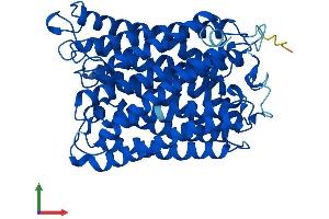 AlphaFold protein structure predicition of Mouse Recombinant Mtco1 Protein, UniprotID P00397