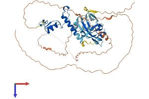 AlphaFold protein structure predicition of Human Recombinant ZNHIT6 Protein, UniprotID Q9NWK9