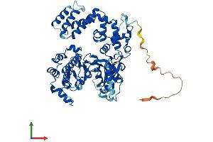 AlphaFold protein structure predicition of Mouse Recombinant Grk6 Protein, UniprotID O70293
