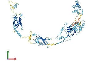AlphaFold protein structure predicition of Human Recombinant EFHC2 Protein, UniprotID Q5JST6
