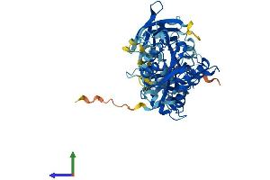 AlphaFold protein structure predicition of Mouse Recombinant Cpne6 Protein, UniprotID Q9Z140