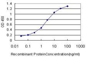 anti-Mediator Complex Subunit 8 (MED8) (AA 1-59) antibody