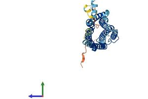 AlphaFold protein structure predicition of Mouse Recombinant Gpr12 Protein, UniprotID P35412