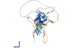 AlphaFold protein structure predicition of Mouse Recombinant Exd1 Protein, UniprotID Q8CDF7