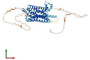 AlphaFold protein structure predicition of Human Recombinant TACR3 Protein, UniprotID P29371