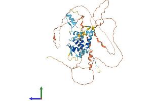 AlphaFold protein structure predicition of Human Recombinant ZBTB34 Protein, UniprotID Q8NCN2