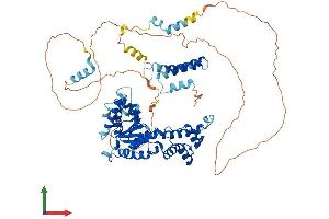 AlphaFold protein structure predicition of Mouse Recombinant Fignl1 Protein, UniprotID Q8BPY9