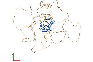 AlphaFold protein structure predicition of Human Recombinant ATXN1L Protein, UniprotID P0C7T5