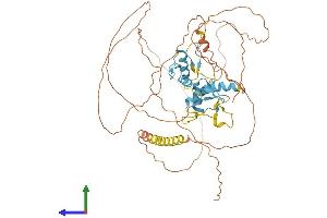 AlphaFold protein structure predicition of Human Recombinant ZIC2 Protein, UniprotID O95409